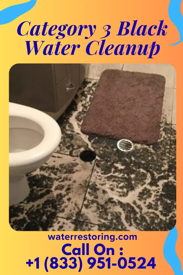 Category 3 Black Water Cleanup in Russell, IA